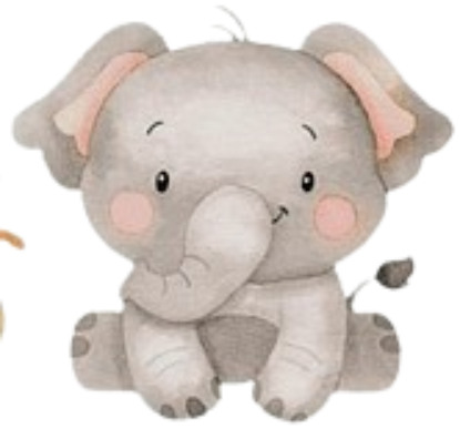 Elefante